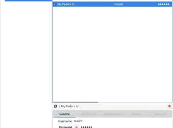 KeePassXC：开源密码管理器