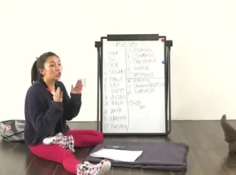 《瑜伽从初级到高级：100节全面教程，适合全水平练习者》