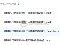 《围棋入门快易精：王元围棋视频讲座》