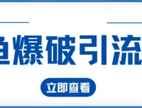 九京闲鱼爆破引流课程1.0