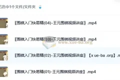 《围棋入门快易精：王元围棋视频讲座》