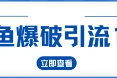 九京闲鱼爆破引流课程1.0