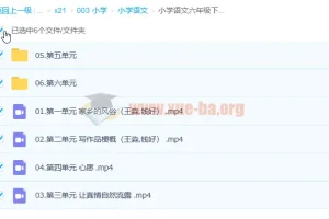 小学语文六年级下册校内同步作文全解：王淼、钱好主讲
