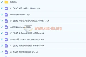 2023高考物理林婉晴a+全年班：一轮复习暑假班与秋季班（21讲更新）