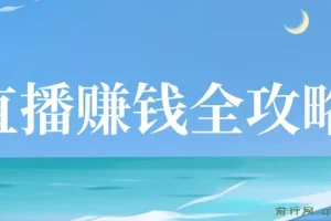 直播赚钱全攻略：新手入门与进阶秘籍
