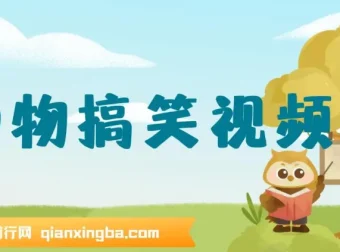 AI动物搞笑视频生成软件：轻松创作原创视频