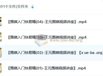《围棋入门快易精：王元围棋视频讲座》
