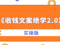 《收钱文案绝学2.0实操版》课程