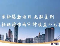 最新爆款网络项目：无脑复制粘贴，两分钟收益八元