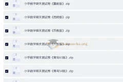 小学数学期末测试卷（多版本合集）