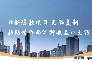 最新爆款网络项目：无脑复制粘贴，两分钟收益八元
