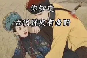 中国历朝历代野史秘史珍贵文献合集