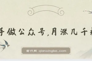 新手做公众号月涨几千粉的策略与方法付费文章