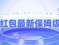 问答红包最新保姆级教程：单号日入90+，多号可操作