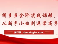 拼多多全阶实战运营课程：从新手到高手，海量玩法与全年实时更新
