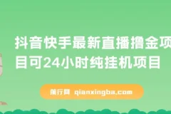抖音快手最新直播撸金可24小时纯挂机项目