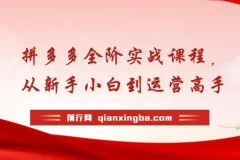 拼多多全阶实战运营课程：从新手到高手，海量玩法与全年实时更新