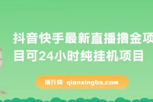 抖音快手最新直播撸金可24小时纯挂机项目