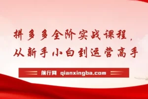 拼多多全阶实战运营课程：从新手到高手，海量玩法与全年实时更新