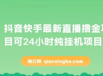 抖音快手最新直播撸金可24小时纯挂机项目