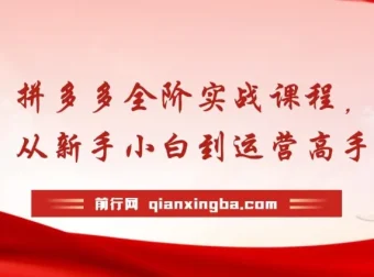 拼多多全阶实战运营课程：从新手到高手，海量玩法与全年实时更新
