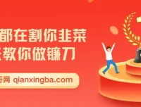 2025知识付费课程：教你月入5w+的财富秘籍