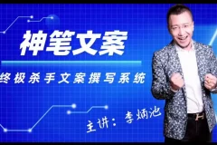 《李炳池杀手文案秘籍》：提升转化率的文案写作实用指南