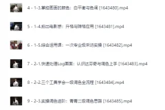 影视飓风：8节课用iPhone拍出电影感课程