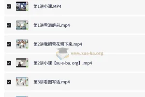 李鑫小学语文2年级寒假班课程