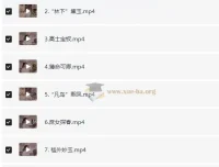 蔡丹君老师：提纲挈领读《红楼梦》课程