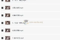 蔡丹君老师：提纲挈领读《红楼梦》课程
