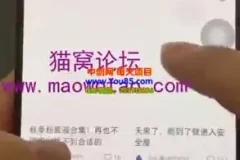 【小红书矩阵达人】高效搬运与剪辑教程：快速提升回报率