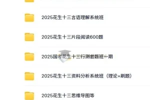 2025年国家公务员考试花生十三行测/申论系统班