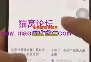 【小红书矩阵达人】高效搬运与剪辑教程：快速提升回报率