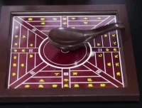 三年级下科学课同步学习指南：揭秘植物与动物的生命奥秘