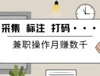 线上数据兼职项目：采集、标注、打码培训与工具资源