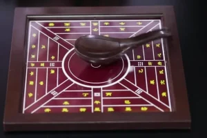 三年级下科学课同步学习指南：揭秘植物与动物的生命奥秘