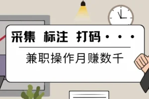 线上数据兼职项目：采集、标注、打码培训与工具资源