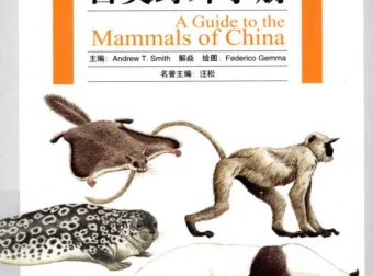 《中国兽类野外手册》：目前最全面的兽类指南（PDF版）