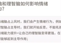 情绪管理集训营：提升情绪控制力的自我帮助资源