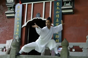 武当袁师懋道长：养生八段锦教学资源