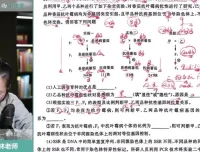 李林2024高考生物冲刺课：代谢/遗传/实验高频考点精讲