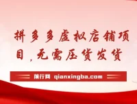 拼多多虚拟店铺项目：小白0基础起步，半月实现日入200+