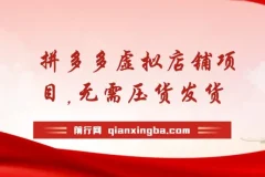 拼多多虚拟店铺项目：小白0基础起步，半月实现日入200+