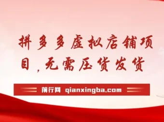 拼多多虚拟店铺项目：小白0基础起步，半月实现日入200+