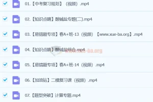 初中初三中考化学寒假春季班（陈耀泉授课）