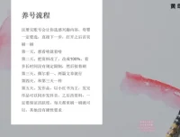 小红书宝宝起名副业实战：专业软件与实操课程