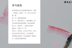 小红书宝宝起名副业实战：专业软件与实操课程