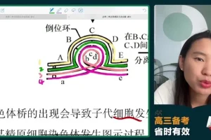 2024高三生物冲刺护航班：毛慧精讲