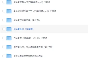 冯唐作品与课程大合集：经典解读与个人作品集